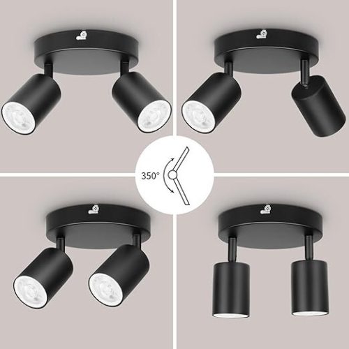 Stmívatelné, vícesměrové LED stropní bodové světlo Ketom (černé)