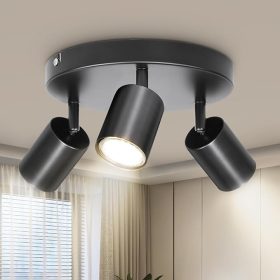   Stropní bodová lampa Dehobo - 3cestné vnitřní osvětlení (matná černá)