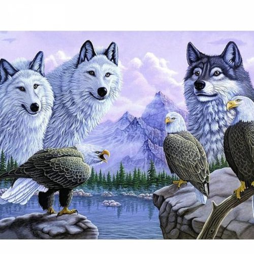 Bshop Diamantový obraz se vzorem vlka a orla 40x30 cm
