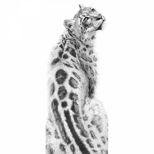 Bshop Diamantový obraz s leopardím vzorem 20 x 50 cm