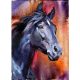 Diamantový obraz se vzorem koně 35 x 25 cm
