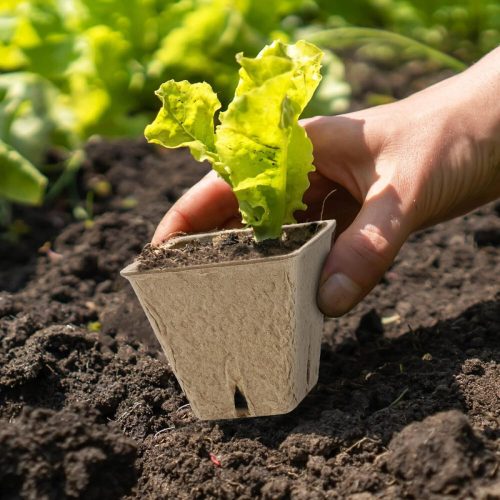 Sada čtvercových rašeliníkových květináčů Hahood, startovací sazenice pro sazenice 60 ks 5, 8cm